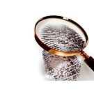 Investigación de cámaras
